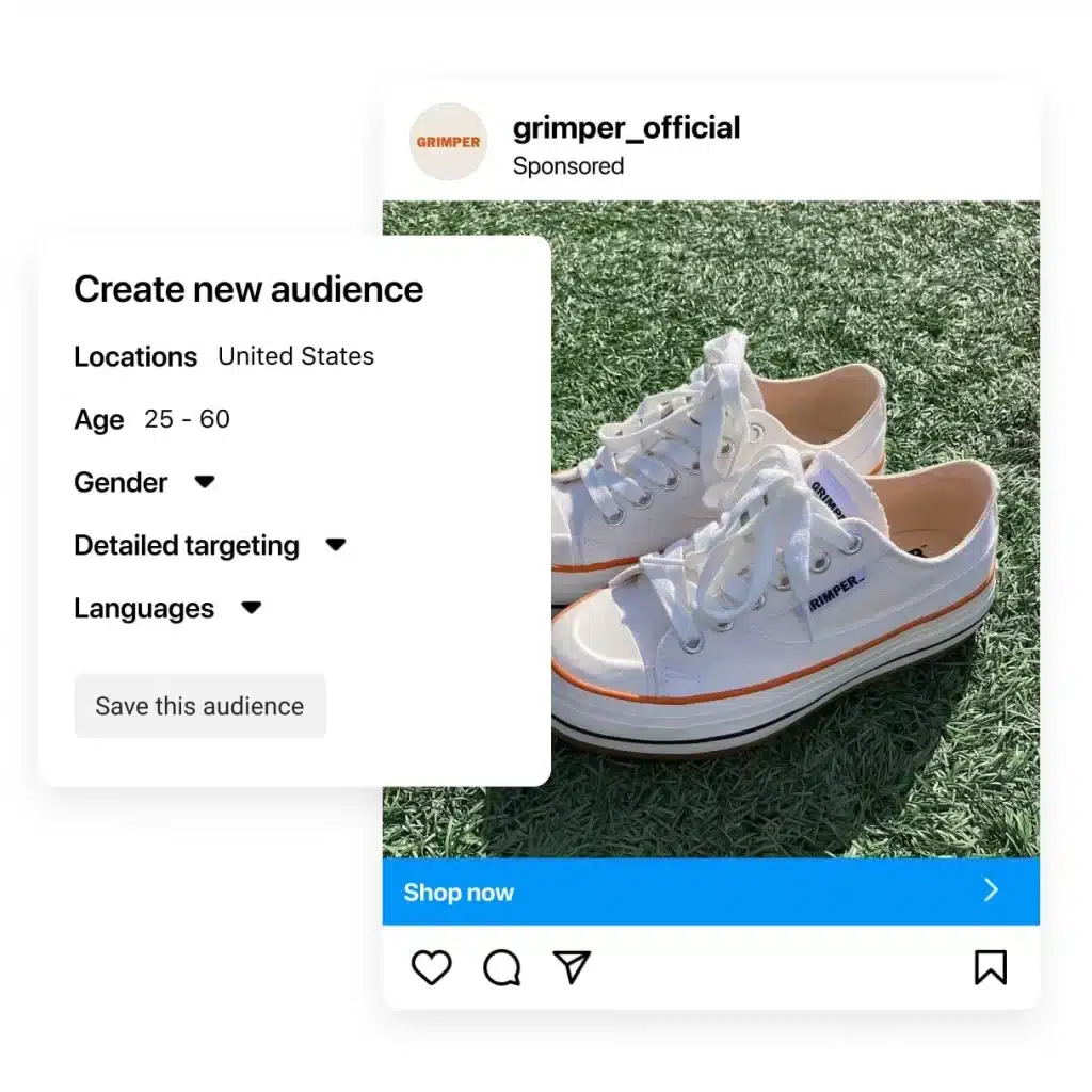 audiente facebook ads